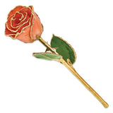 Lacquered Orange Rose with Gold Trim