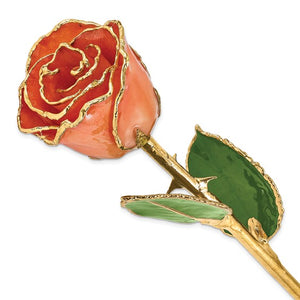 Lacquered Orange Rose with Gold Trim