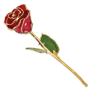 Lacquered Red Rose with Gold Trim