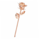 Rose Gold-Plated Rose