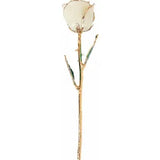 Lacquered White Rose with Gold Trim