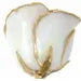 Lacquered White Rose with Gold Trim