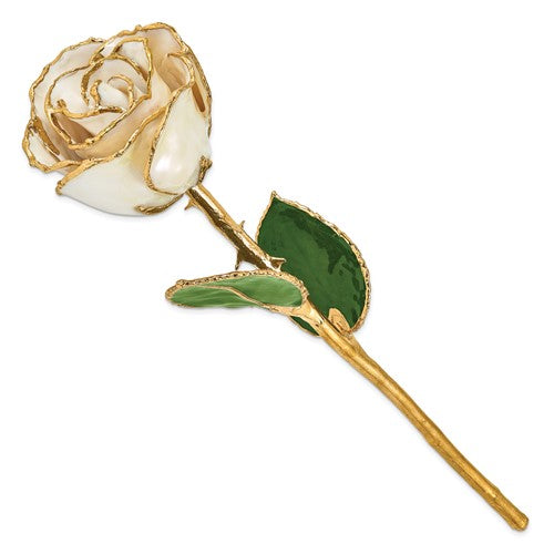 Lacquered White Rose with Gold Trim