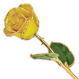 Lacquered Yellow Rose with Gold Trim