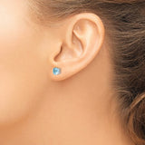 March Birthstone Earrings